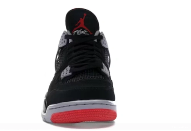 Retro 408452-060 Jordan Air Bred 2019 4 0713